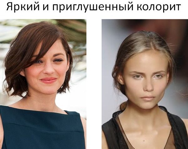 цвет
